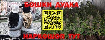 крисы Рязань