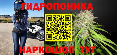 крисы Рязань