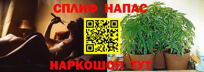 PSILOCYBIN Рузаевка
