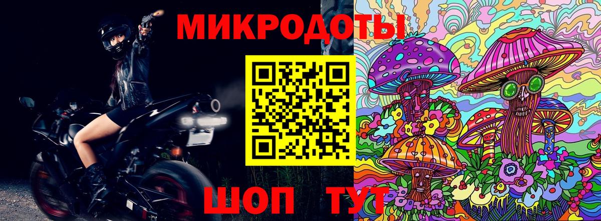 Псилоцибиновые грибы мухоморы Балашов
