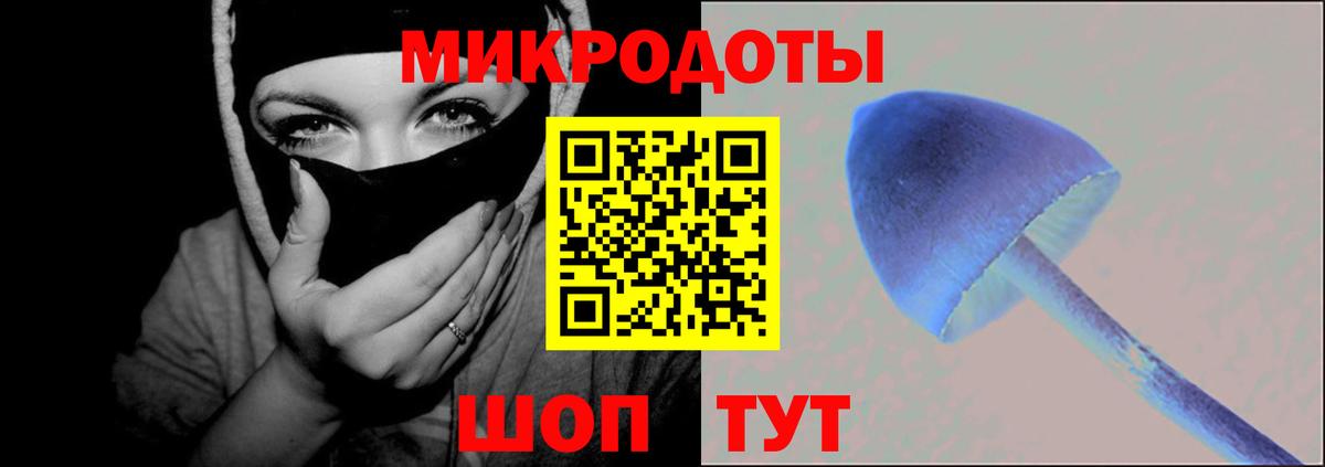 Псилоцибиновые грибы GOLDEN TEACHER  Галлюциногенные грибы Cubensis  Вход с VPN  Балашов 