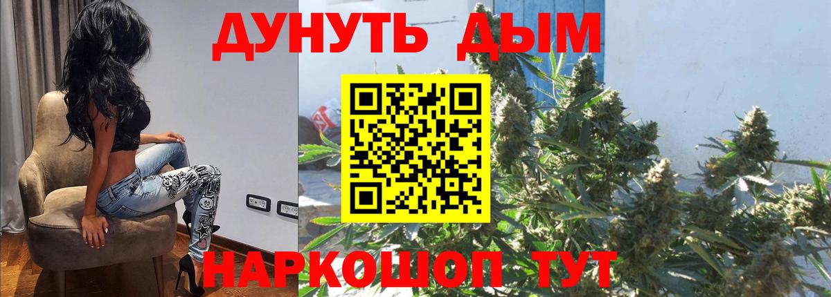 Бошки Шишки сатива Балашов